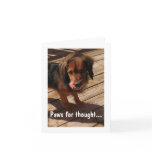 Paws for thought: Dog 2 cards