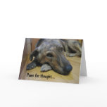 Paws for thought : Dog 2 cards
