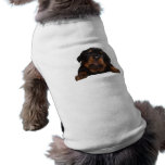 Paws For Thought pet clothing