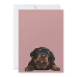 Paws For Thought invitations