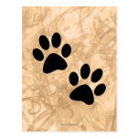 Paws Postcard