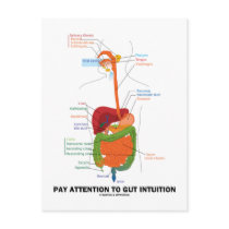 Pay Attention To Gut Intuition (Digestive System)