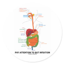Pay Attention To Gut Intuition (Digestive System)