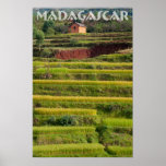 Paysage de rizières à Madagascar Posters