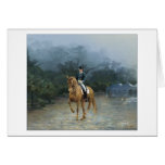 PB Piaffe Dressage Horse Art cards