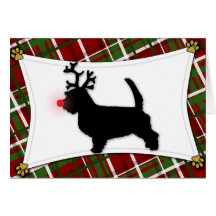 PBGV Reindeer Christmas Card
