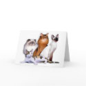 PCBR Note Cards