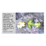 Peace in His Presence photo cards