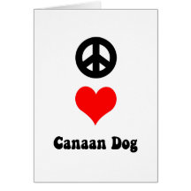 peace love Canaan Card