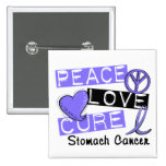 Peace Love Cure Stomach Cancer Pinback Button