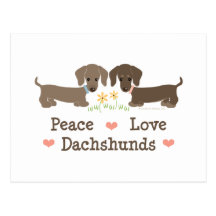 Peace Love Dachshunds Postcard