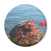 Peace Fridge Magnets