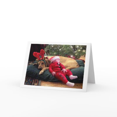 Peace on Earth Greeting Cards by sylvan