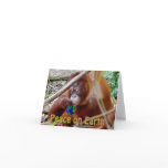 Peace on Earth Charity Holiday Greetings Card