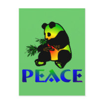 Peace Panda Bear