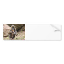 Peace pipe bumper sticker