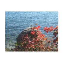 Peace Post Cards