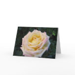 Peace Rose Card