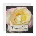 Peace Rose Thank You Cards invitations