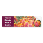 Peace Starts with a Smile! bumper sticker Tulips bumper stickers