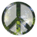Peace Trees Sticker