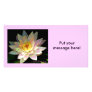 "Peace" Water Lily  - Photocard Photo Cards