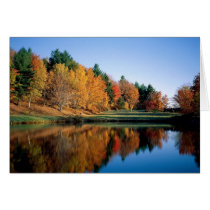 Peaceful Autumn In Vermont