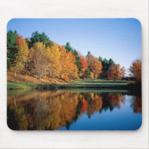 Peaceful Autumn In Vermont