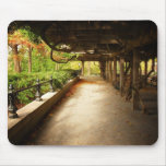 Peaceful Autumn Landscape, Central Park, NYC Mousepads