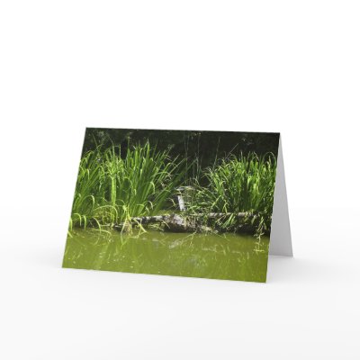 PEACEFUL CARDS by myfunkyart