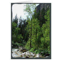 Peaceful Forest Sympathy Card