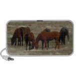 Peaceful Herd of Working Ranch Cow Horses speakers