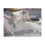 Peaceful kitties Postcard
