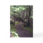 peaceful  Oregon trail cards