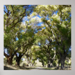 Peaceful Path posters