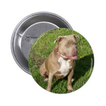 Peaceful Pitbull Button