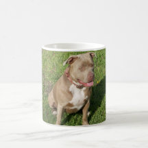 Peaceful Pitbull Coffee Mugs