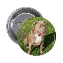 Peaceful Pitbull Pinback Buttons