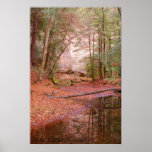Peaceful Reflections posters