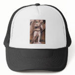 Peaceful Renaissance Angel Mesh Hat