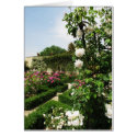 Peaceful Rose Garden cards