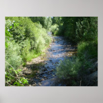 Peaceful Stream Poster