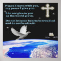 peaceileaveposter posters