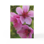 peach blossom cards