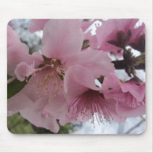 Peach Blossom II Mouse Pad