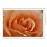 Peach cards