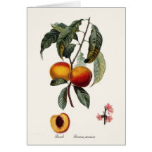 Peach Cards