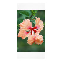 Peach coloured flower personalized photo card