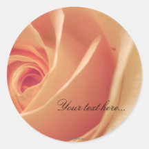Peach Cream Rose Wedding Invitations Seals Sticker