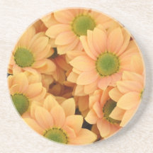 Peach Daisies In Bloom Beverage Coasters
